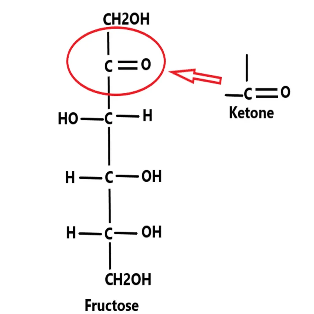 ketoses