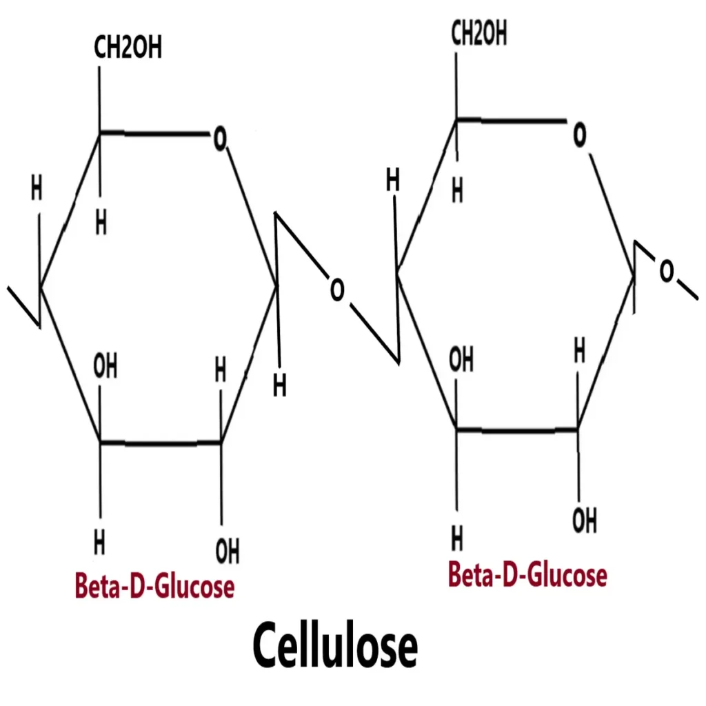 homopolysaccharides