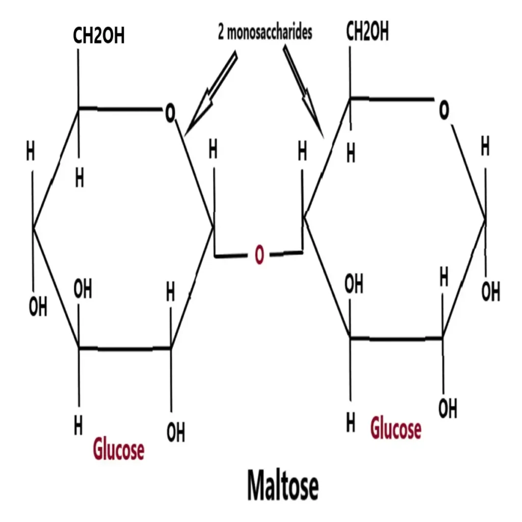 oligosaccharides