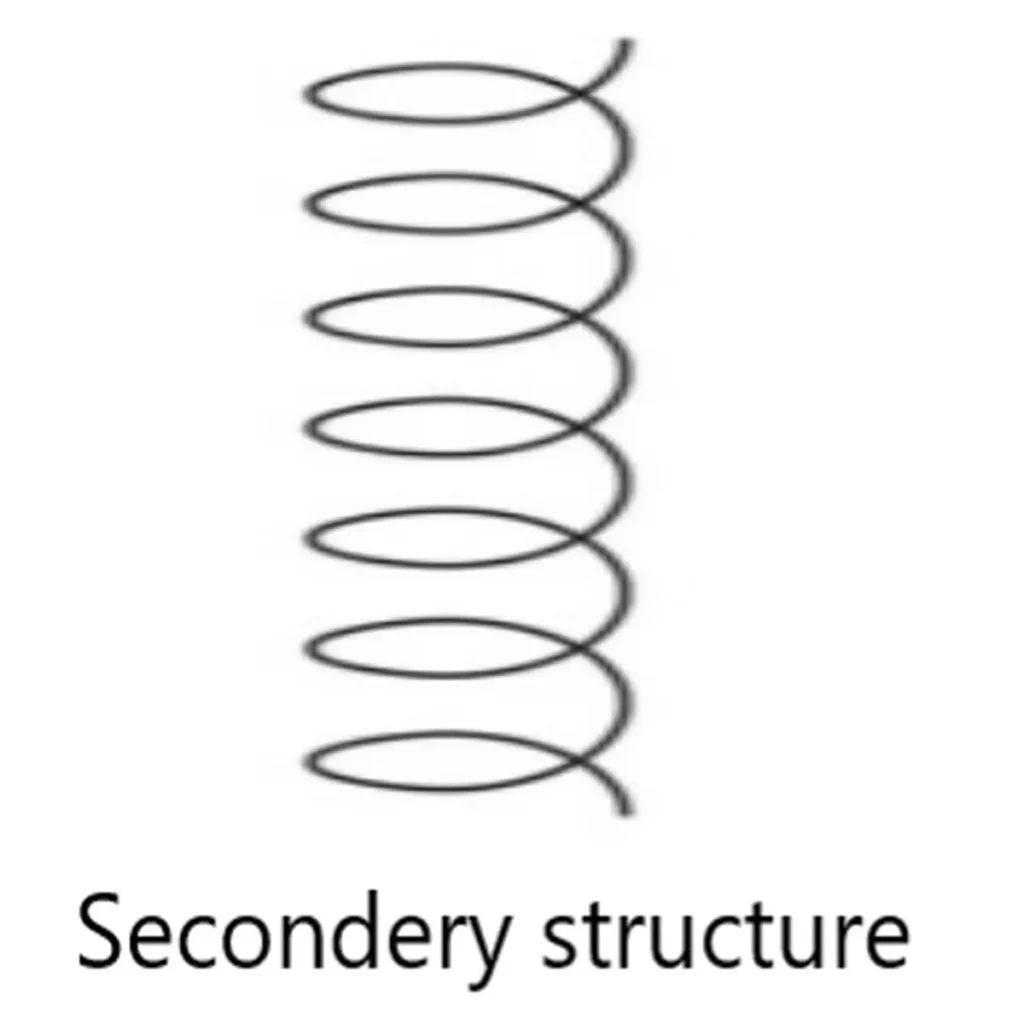 secondary proteins